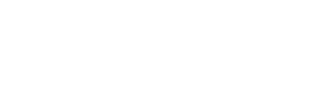 NichoSEO