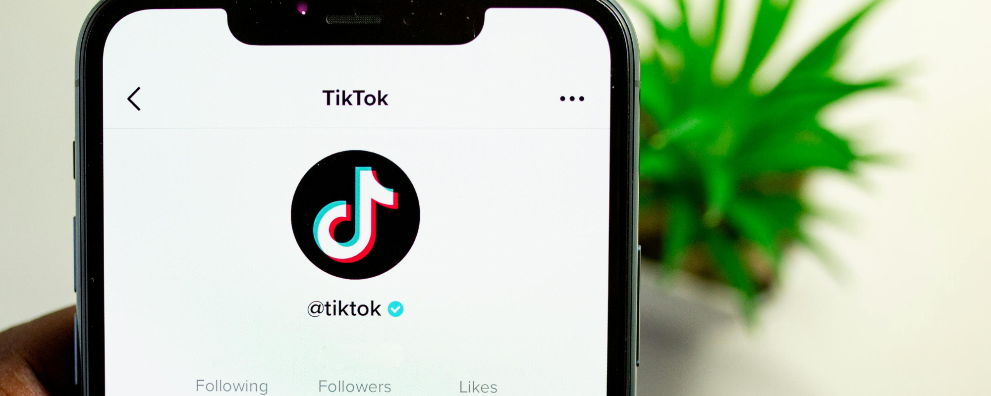 TikTok o Instagram, perfil de TikTok